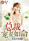 总裁宠妻如命