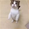 小小仙
